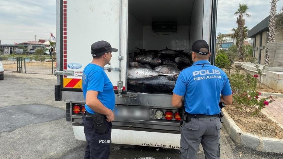 İzmir’de 2 Araçta 3 Ton Kaçak Orkinos Ele Geçirildi