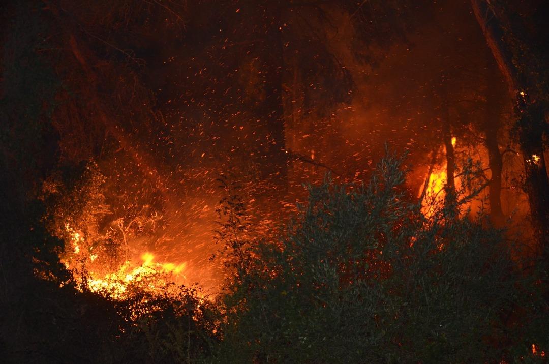 Antalya'da orman yangını! 1 otel boşaltıldı! Hızla müdahale edildi: Antalya Valisi vatandaşları uyardı ... 3